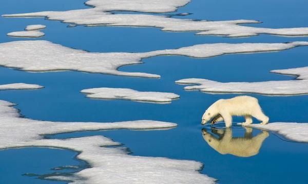 North pole could be 35C warmer than average this week, warn meteorologists