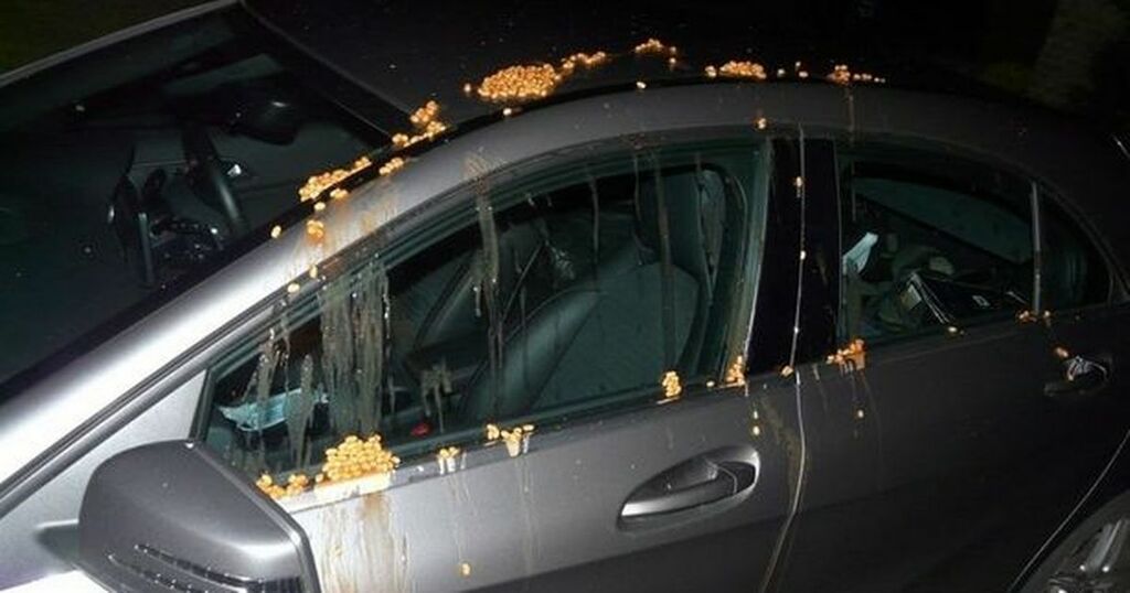 What is beaning? Police release baked bean pics as…