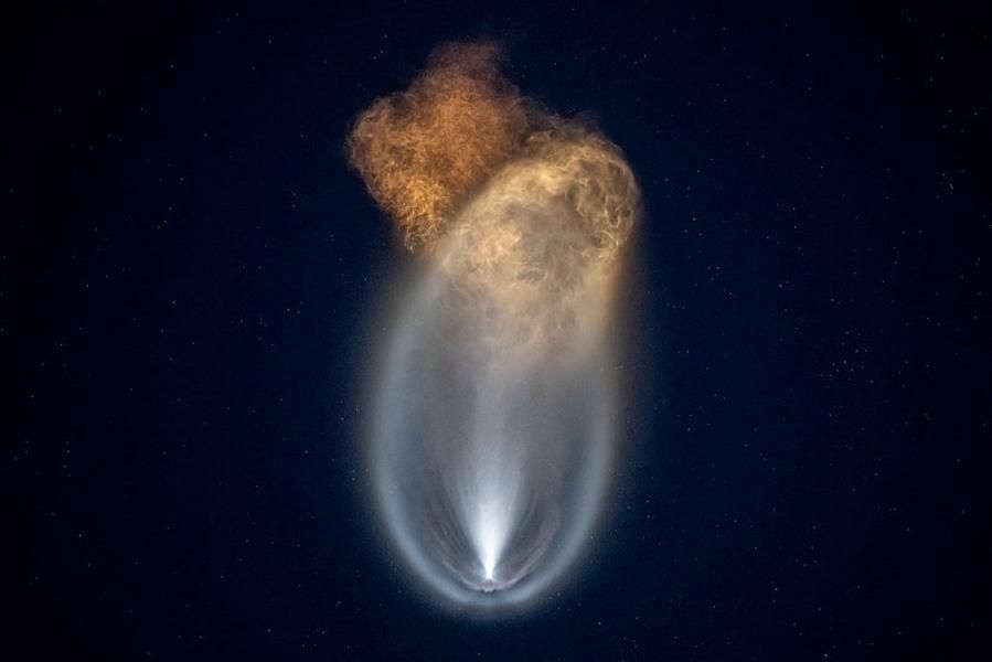 First Fish In Space In Photos: Behold A Jaw-Dropping ‘Space Jellyfish’ As…