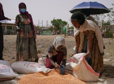 Ethiopia expels ‘meddling’ UN staff as famine deepens in Tigray without aid