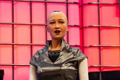 Let Sophia the robot have a robot baby