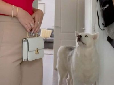 TikTok obsessed with clever dog that appears to ask owner ‘where are you going’ as she’s getting ready