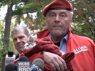 Republican candidate for NYC mayor tried to bring his cat to vote