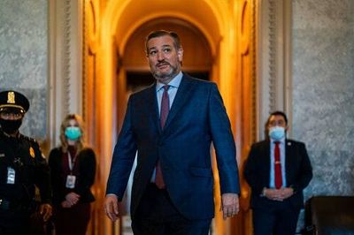 Ted Cruz tried to dunk on Democrats, dunked on his fellow Republican instead