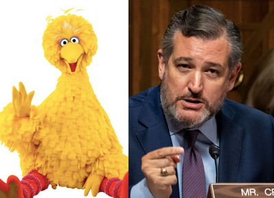 Republicans and anti-vaxxers are absolutely furious that Big Bird got a Covid vaccine