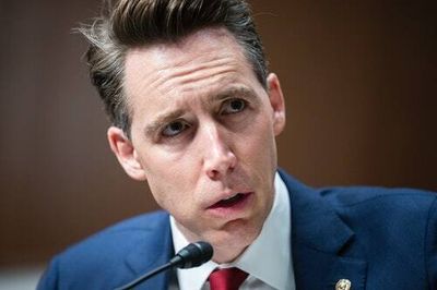 Josh Hawley can't wait for you to get your hands on his 'Manhood'