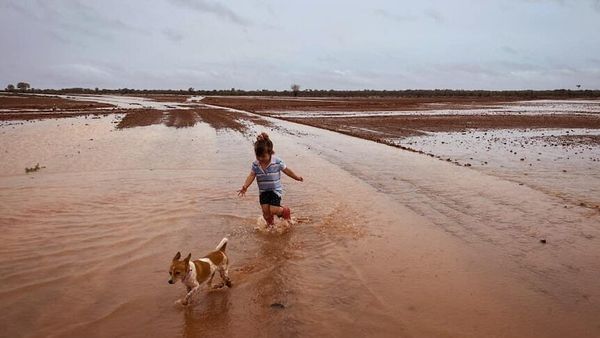 Drought-stricken outback Queensland celebrates after downpour brings hope for 'strong wet season'