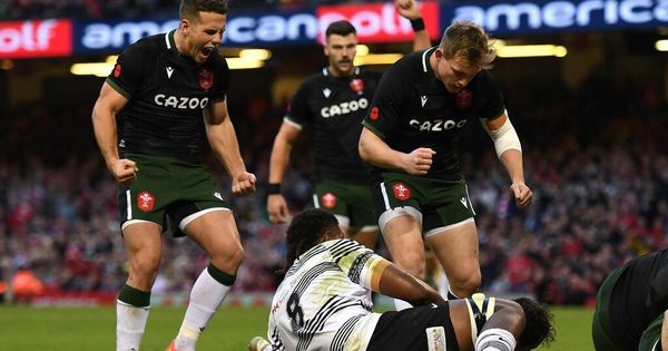 Wales saved by Fijian stupidity and late flourish but significant red flags have emerged