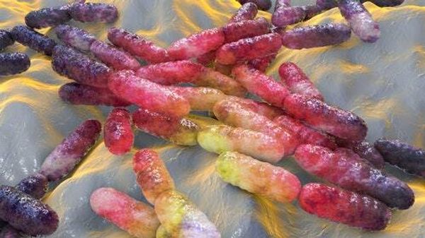 What foods boost gut health? A doctor reveals the biggest mistake you can make