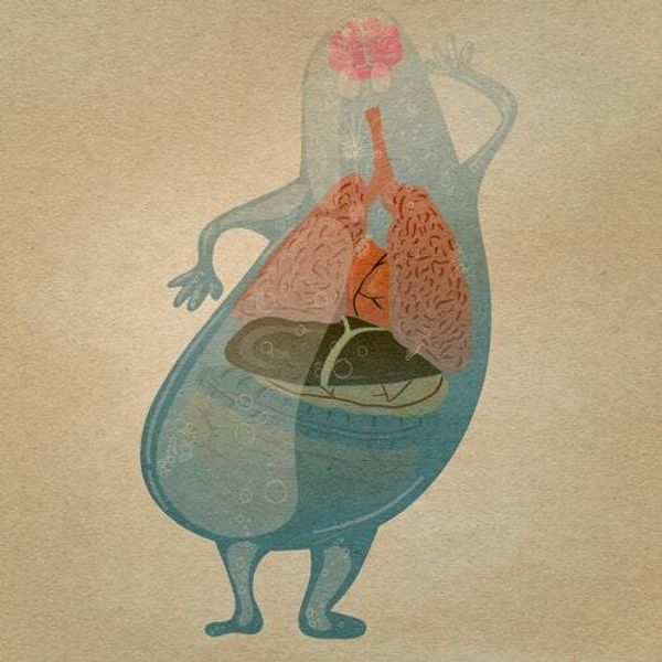 Gut study reveals a “mind-blowing" strategy to reverse aging in the brain