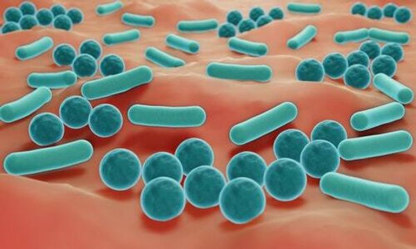 Western diets may have a pernicious side-effect on the gut microbiome — study