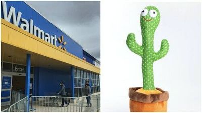 Walmart's cursing, cocaine-loving cactus toy is the perfect expression of our lives right now