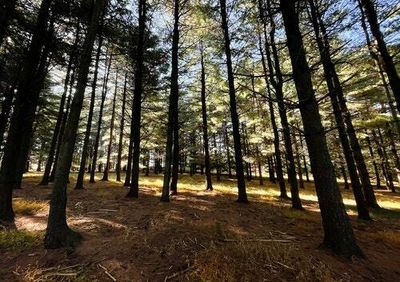 You're doing environmental donations wrong