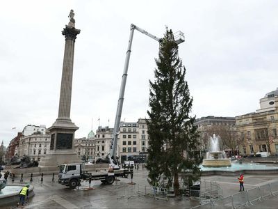 Twitter rips into Trafalgar Square’s ‘flea bitten’ Christmas tree gifted from Norway