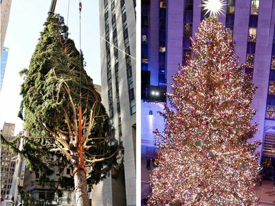 Rockefeller Christmas tree lit in NYC - and it’s a dramatic contrast to the VERY 2020 version