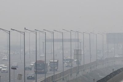 Air and water pollution linked to changes in human sex ratio at birth, study finds