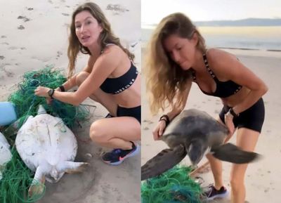 Supermodel Gisele Bündchen saved a turtle that was trapped in a fishing net