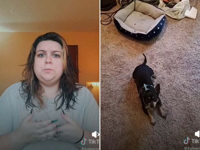 Woman left in stitches after discovering her adopted dog can only understand Spanish