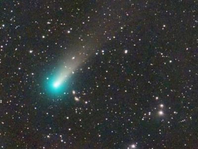 When can you see the newly discovered Comet Leonard in the sky?