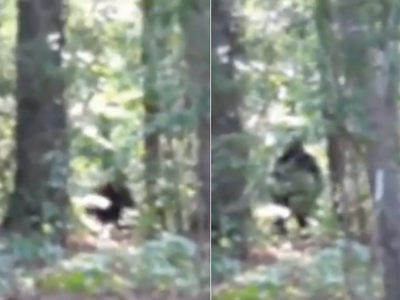 New ‘bigfoot footage’ has experts admitting that ‘it could be real’