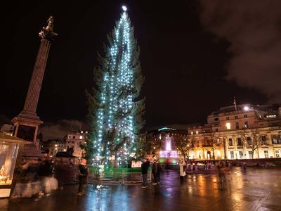 Will Norway send a better tree to Trafalgar Square? Oslo to vote on gifting new one to London after backlash