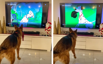 Video of dog copying 101 Dalmatians is the cutest thing you’ll see today