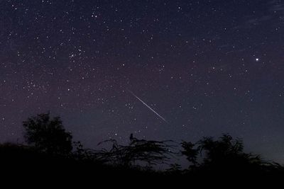 When to see spectacular Geminid meteor shower as shooting stars to light up night sky