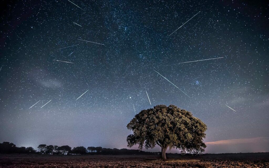 Ursid Meteor Shower 2021: How To Watch The Peak And…