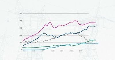 Americans now use more energy from renewable sources than from coal