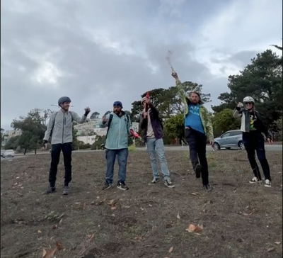 The guerilla gardeners of TikTok