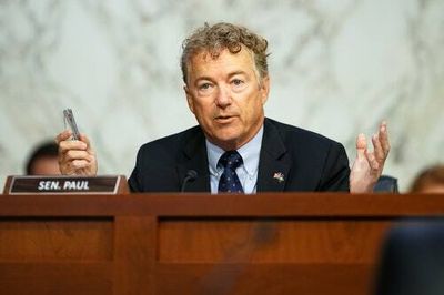 Rand Paul says using legal voting methods is election theft