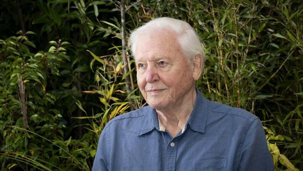 Sir David Attenborough hails public’s awakening about the importance of nature