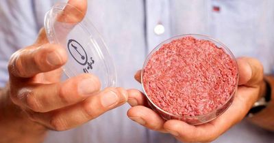 A third of UK consumers are willing to try lab-grown meat, new study finds