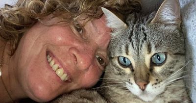 Edinburgh cat sitter's heartbreaking plea to motorists after finding dead pets