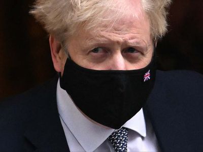 ‘Operation Save Big Dog’ plan to save Boris Johnson is roundly roasted