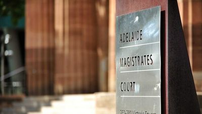 Dog breeder kept more than 200 animals in filthy conditions on SA property, court told