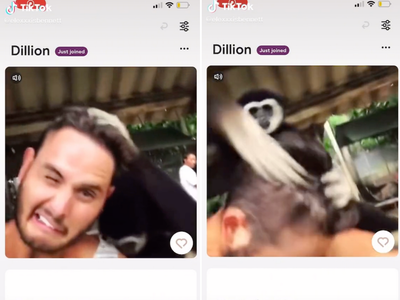 Man features video of him getting slapped by a monkey on his Hinge profile