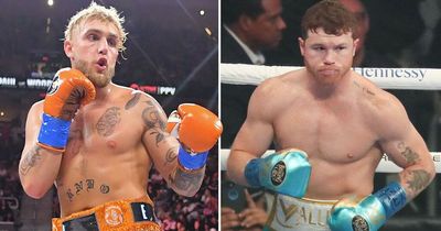 Jake Paul responds to news of world champion Canelo Alvarez's next opponent