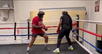 Shannon Briggs returns to sparring ahead of comeback fight against ex-UFC star