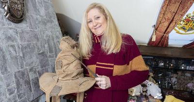 Harry Potter 'addict' converts attic into Gryffindor common room