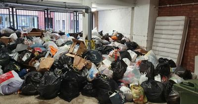 Bin collection delays prompt Glasgow City Council apology as service now 'mainly back to normal'