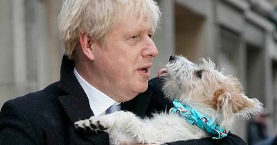 Boris Johnson does not refer to himself as 'big dog' as No10 launches plan to save Prime Minister