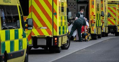 UK Covid daily cases plunge 40% in just one week with 84,429 more recorded
