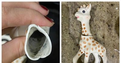 Sophie the giraffe teether warning after Co Tyrone mum discovers mould inside