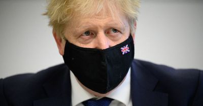 Who would be acting PM if Boris Johnson were incapacitated under proposed new law?