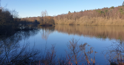 Warning to dog walkers after bird flu found in Leeds park