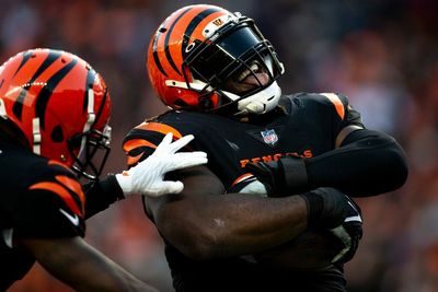 Bengals make roster moves with Larry Ogunjobi, others before playoffs vs. Titans