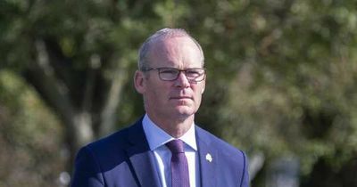 Simon Coveney to be called before Oireachtas committee over Champagne party