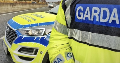 Social welfare: The key errors that could result in jail time as gardai carry out checks