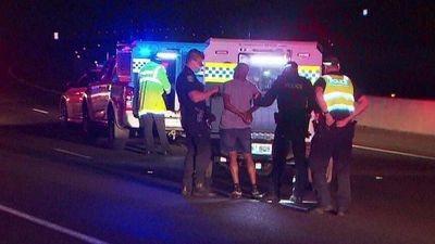 Police arrest six after pursuit in allegedly stolen car, 60 cars vandalised in Adelaide's CBD
